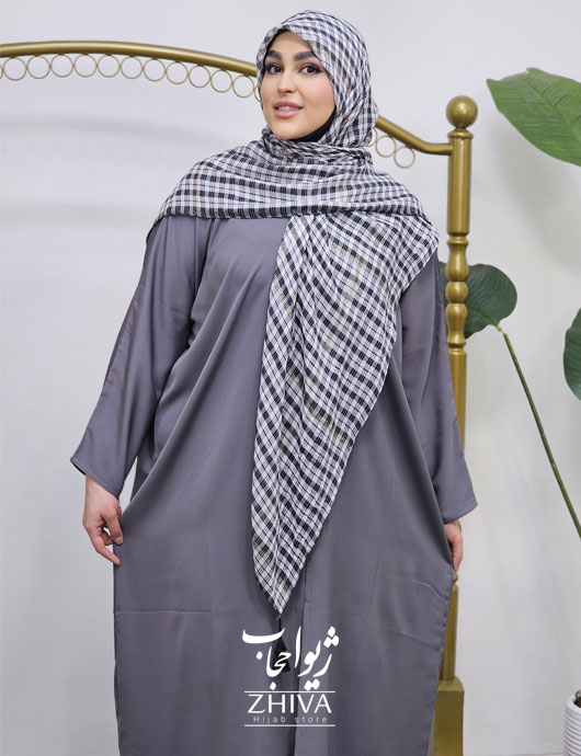 عبای ميزبان طوسی